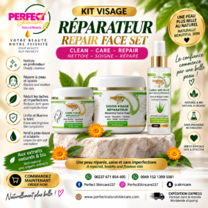 Kit Visage Réparateur – Objectif Pureté & Teint Net